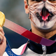 Z mačjo masko priplaval do dveh zlatih medalj
