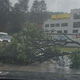 Veter znova podiral drevesa, na Koroškem poplavilo ceste in kleti