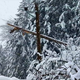 Na obronkih Pohorja in Kozjaka po štirih dneh še vedno brez elektrike