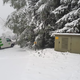 Sneženje v Avstriji povzroča težave: podrta drevesa, težave v prometu ...