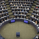 Evropski poslanci odločno proti ruskemu vmešavanju v evropske procese