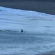 Morski pes prestrašil kopalce na Gran Canarii, oblasti zaprle tri plaže