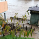 Grozljivka v Litiji: ne spijo mirno, bojijo se, da bodo poplave odnesle hišo