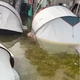 Na nizozemskem Dominator festivalu poplavilo šotore