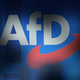 Nemški obveščevalci začasno umaknili oznako AfD za ekstremistično organizacijo