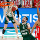 Drama v Novem mestu pripadla Cedeviti Olimpiji