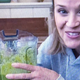 Skrivnost njenega mladostnega videza? TO je recept za zeleni smoothie, ki si ga Reese Witherspoon privošči vsak dan. Že 9 let!