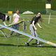 Agility 4FUN duck party v Celju: poglejte, kaj vse se da naučiti pse (video)