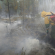Sever Sardinije zajeli gozdni požari