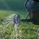 Danes v Dolenjskem listu: Brez omejitev bi vode lahko tudi zmanjkalo