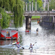 Na Ljubljanici veslamo tudi za dobrodelne namene