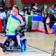 Paraplesalci uspešni na Slovaškem