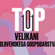 TOP 101: Kakšno poslovno leto napovedujejo velikani