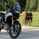 Kratek test triumph tiger 900 rally pro – angleški gospod med popotniki