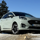 Test ford puma 1.0 ecoboost hybrid 114 kW – trendovska puma za ceno družinske kuge