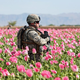 Poraženi, depresivni, drogirani: Ameriški vojaki se iz Afganistana vračajo s številnimi problemi