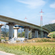 Številne pripombe in podpisi na predlagani načrt hitre ceste med Slovenj Gradcem in Dravogradom