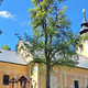 Na praznik Marijinega vnebovzetja bodo svetišča polna, svete maše tudi na Homcu
