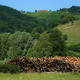 Domača drva najcenejša, vendar zahtevajo delo in znanje