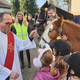 FOTO: Štefanov blagoslov konj v Pernici