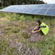 Bi solarne farme lahko pripomogle k zaščiti čebel in čmrljev?