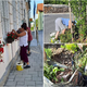 FOTO: Brez prizadevnih članic turističnega društva podoba Selnice ne bi bila takšna, kot je