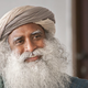 Sadhguru: Kako bo izgledal svet čez 22 let?