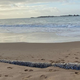 Ženska na plaži opazila nekaj nenavadnega: ko je prišla bližje, ni mogla verjeti svojim očem (FOTO)