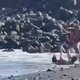 VIDEO: Drama na priljubljeni plaži, starši bežali z otroki, ki so jokali od šoka