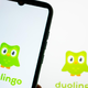 Aplikacija za učenje tujih jezikov Duolingo vas uči tudi glasbo – in zdaj ponuja še fizični pripomoček