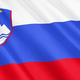 Izobesimo zastave in podprimo slovensko nogometno reprezentanco