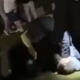 Video: Brutalen epilog veselice v Vitanju: varnostnika obvladanega pretepača s pestjo tolka po glavi
