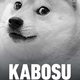 Umrl je pes, ki je bil obraz kriptovalute Dogecoina in navdih številnih "doge" memeov