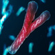 Strokovnjaki pravijo, da kromosom Y izginja, s tem pa tudi moški spol (in človeška vrsta?)