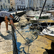 NEPRIJETNE VONJAVE V PIRANU: Zaudarja morska sluz, Okolje Piran jo čisti na roke (FOTO)