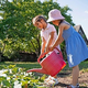 Nasveti za vrtnarjenje v poletni vročini