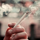 Tobačno podzemlje: v tem dolenjskem kraju je nemško-hrvaška mafija ponarejala na milijone cigaret
