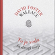 David Foster Wallace: To je voda in drugi eseji