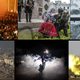 Svet v letu 2023 v znamenju vojn, naravnih katastrof in političnih dram