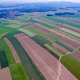 Kmetijska zemljišča v Sloveniji med dražjimi v EU-ju, na zahodu države cene skoraj dvakrat višje