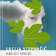 Lucija Stepančič: Kar od nekod