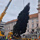 Na Prešernovem trgu že stoji smreka, prižig lučk 29. novembra