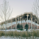 Nova knjižnica v Pekingu pričara občutek branja pod drevesno krošnjo