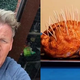 Gordon Ramsay je spet jezen, na TikToku se zgraža nad recepti drugih #video