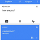 Google Translate razume več kot sto jezikov in 99 odstotkov ljudi