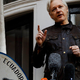 Veliki žvižgač Julian Assange spet svoboden