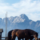 Čez drn in strn po slovenskem delu Karnijskih Alp, kar šteje, je razgled (FOTO)