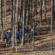 Sojenje za umor: Zaslišal stok in zagledal Slavca