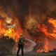 Požari v Kaliforniji ne pojenjajo, pomagajo jim rekordne temperature