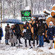 Ustavite pustošenje primestnega gozda v Ljubljani!